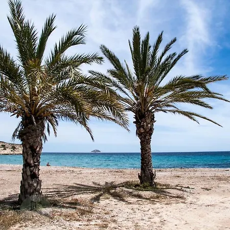 Apartment Lovely Oasis Marisol Premium 100mts To The Sea